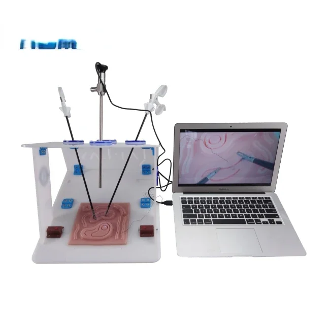 Laparoscopic Endo Trainer with - Woodworking Simulator review and price
