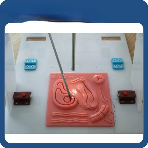 Laparoscopic Endo Trainer with - Woodworking Simulator review and price