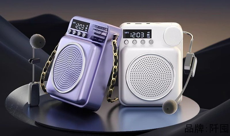 Little bee loudspeaker, specia - Woodworking Teacher review and price